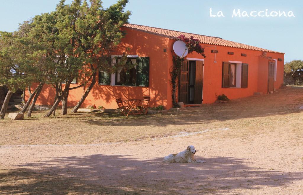 La Macciona Apartamento Aglientu Exterior foto